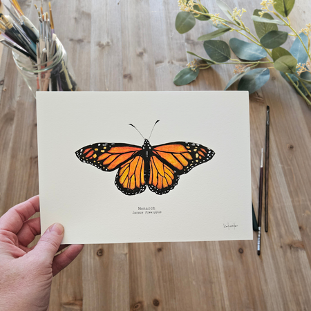 Watercolour Art Print - 'Monarch Butterfly'
