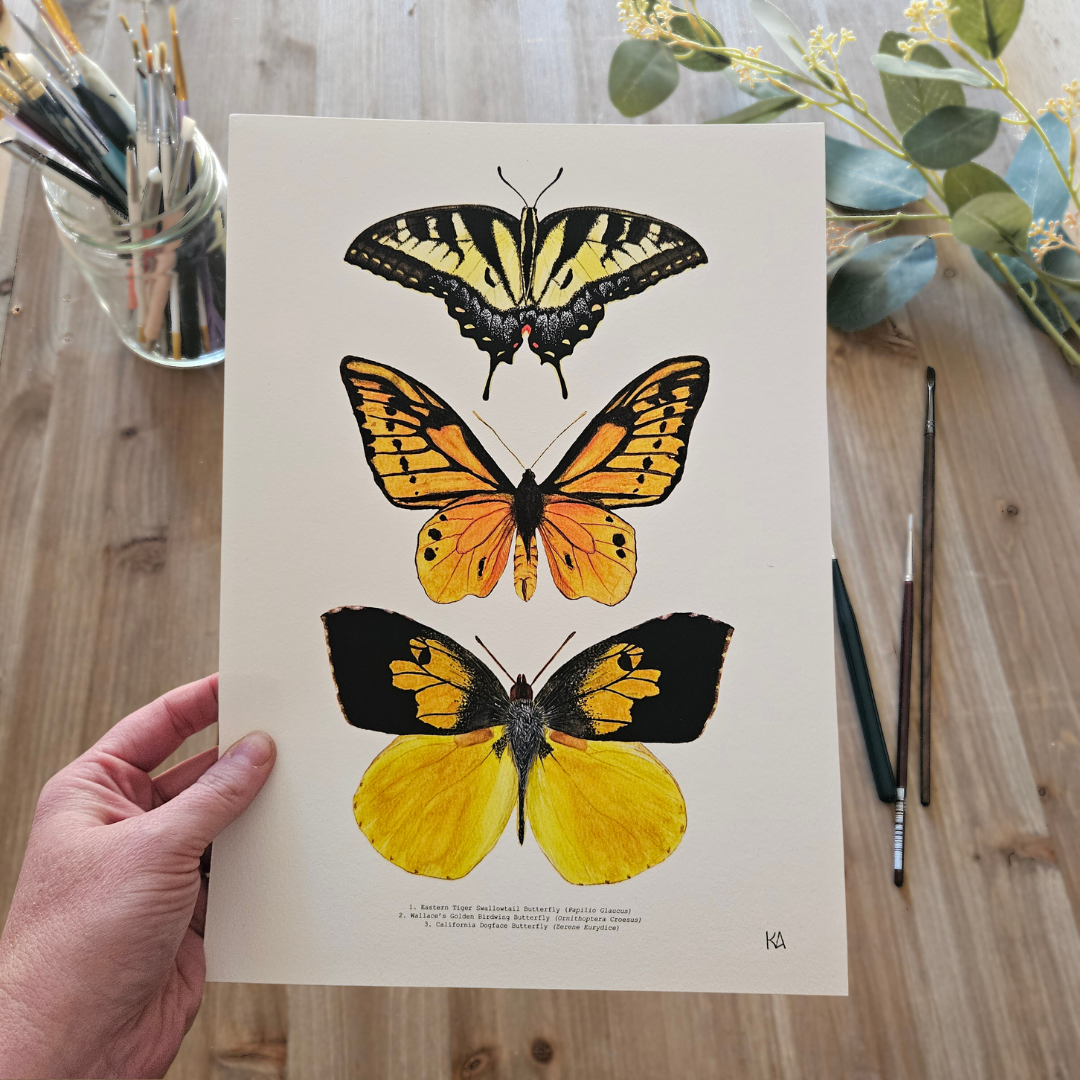 Watercolour Art Print - 'Yellow Butterfly Trio'