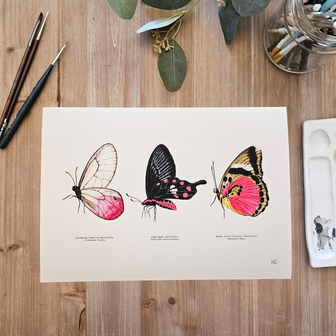 Watercolour Art Print - 'Pink Butterfly Trio'