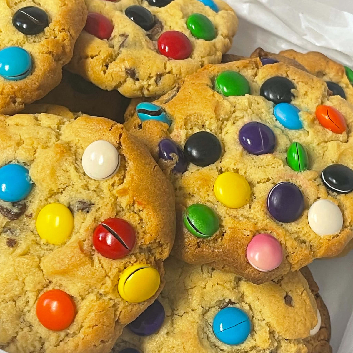 Classic Big Bickies 6 Pack - why have abs when you can have a six pack of big bickies!