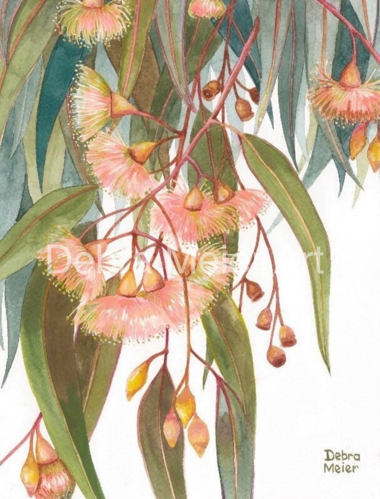 Soft Pink Gumblossoms art print by Debra Meier Art