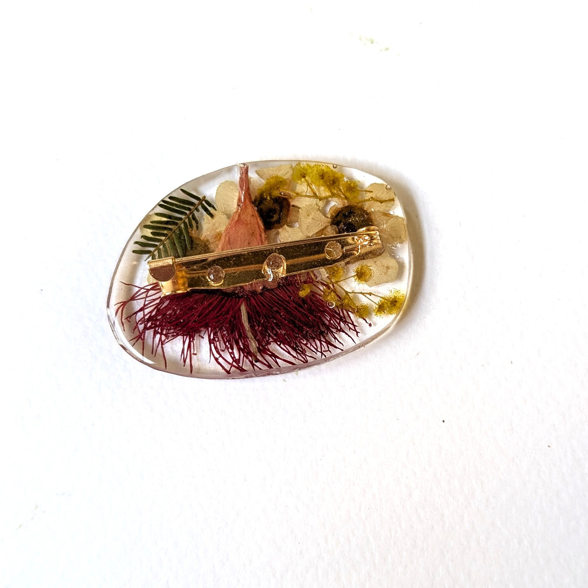 Real Australian Native Flowering Gum Wattle Brooch