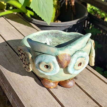 Owl plant pot