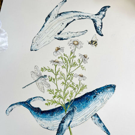 'Ocean Whispers' – Humpback Whales & Chamomile | Watercolor Print