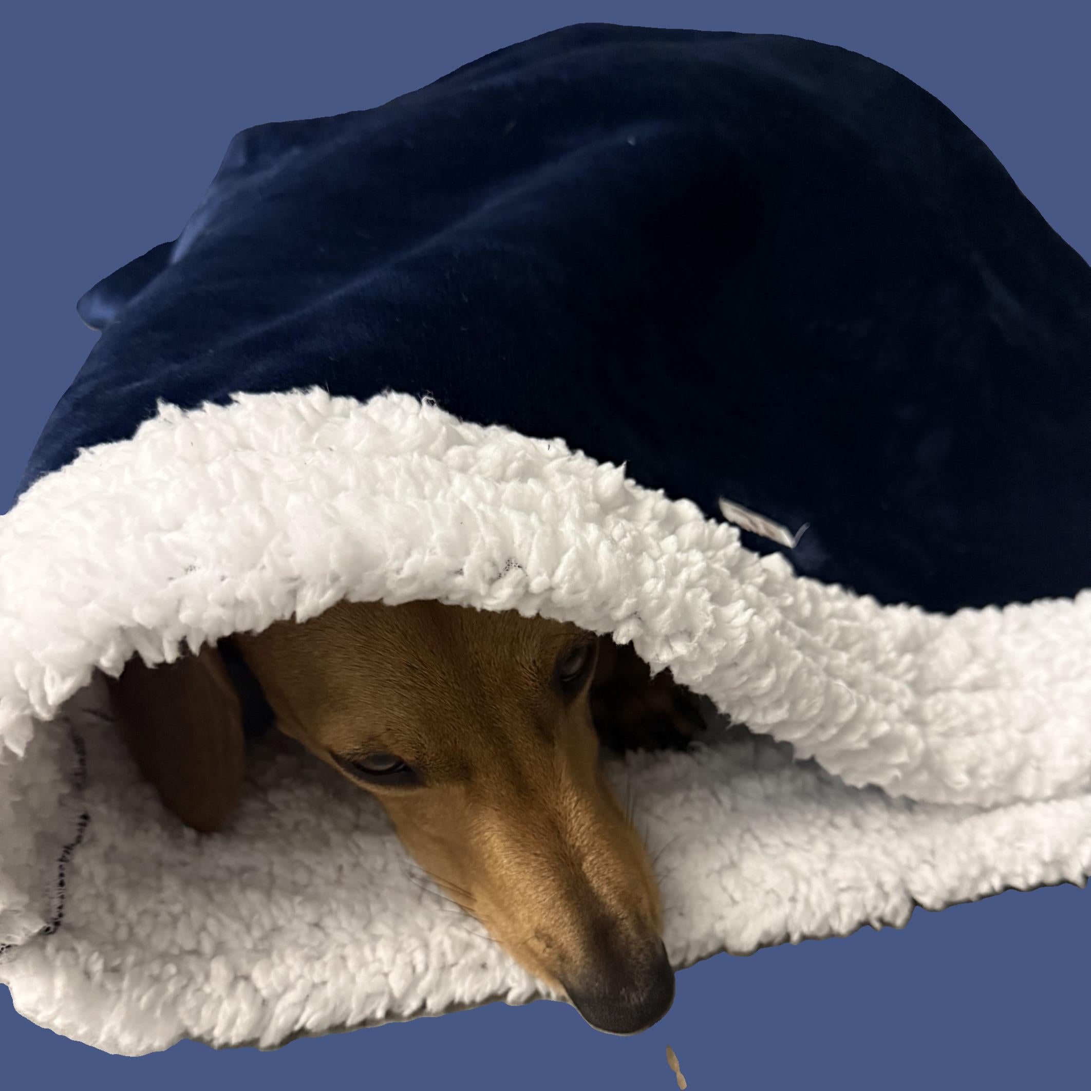 Pet Cozy sleeping snuggle sack for Suits dog, cat, rabbit,lizard