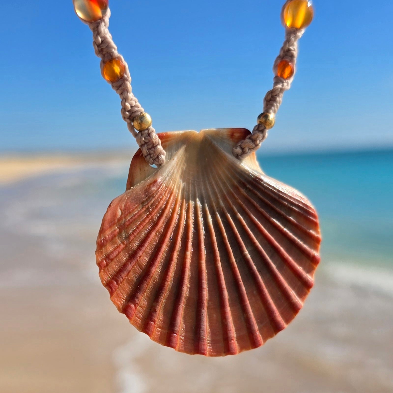 Scallop Shell Necklace with Carnelian & Shell Beads