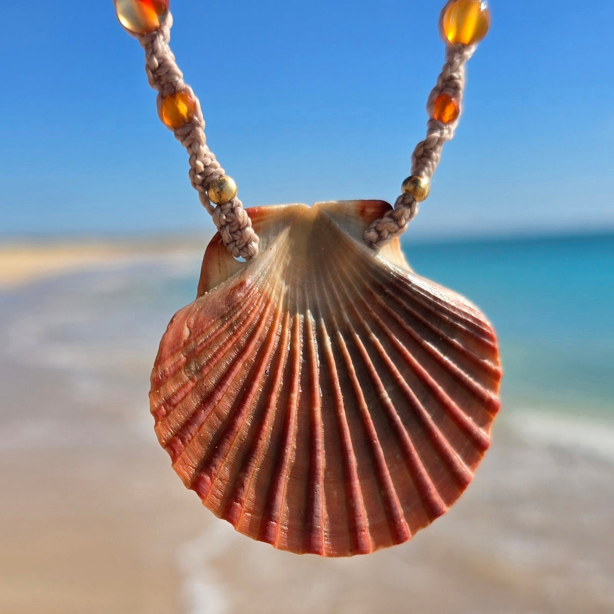 Scallop Shell Necklace with Carnelian & Shell Beads