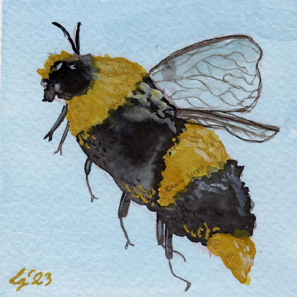 Bumblebee - art print