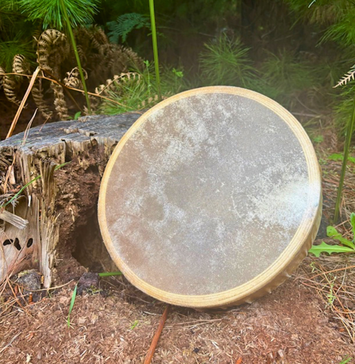 Handcrafted Shamanic Drum — Kangaroo Hide & Ash Hoop 14“
