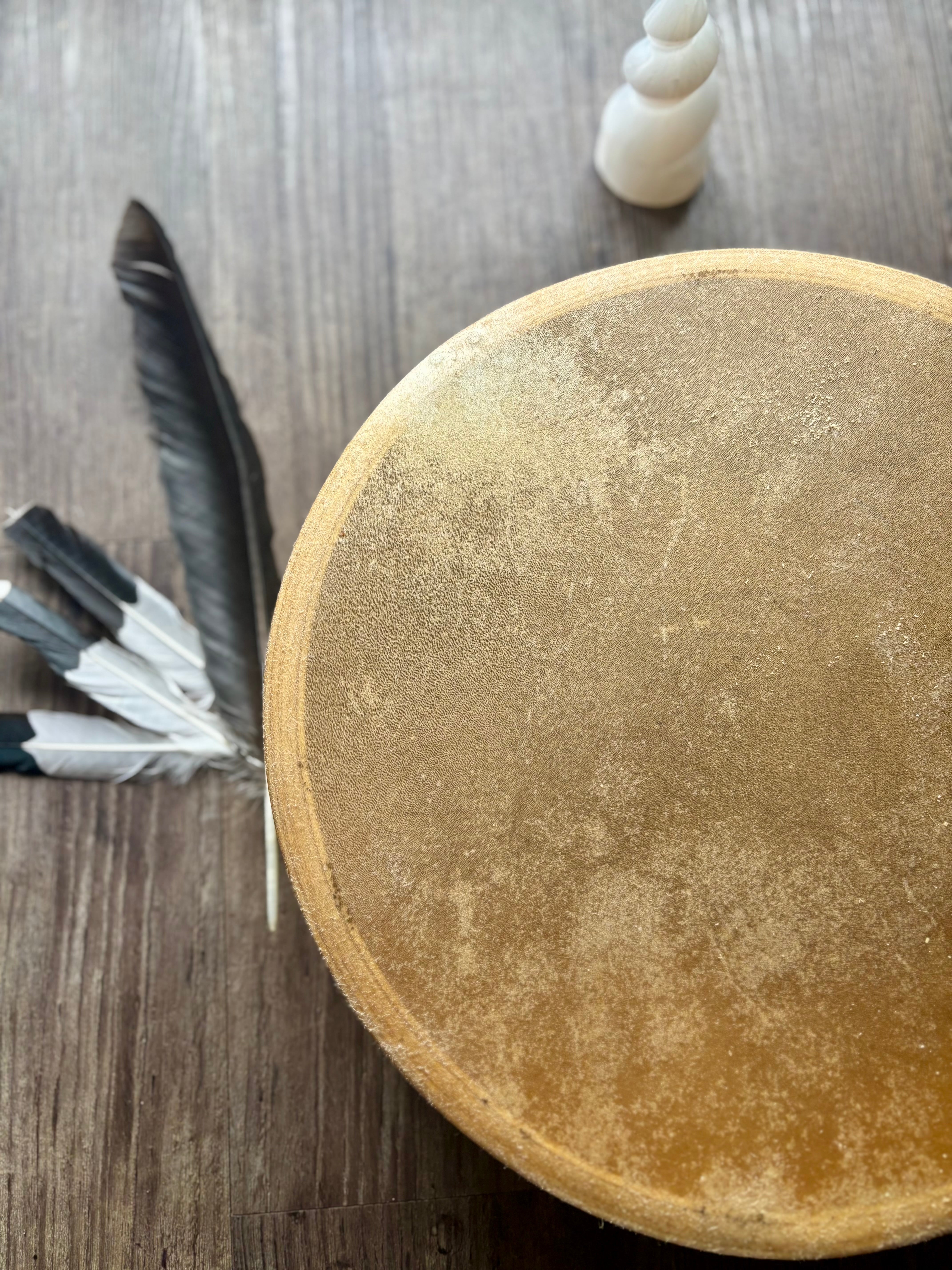 Handcrafted Shamanic Drum — Kangaroo Hide & Ash Hoop 14“