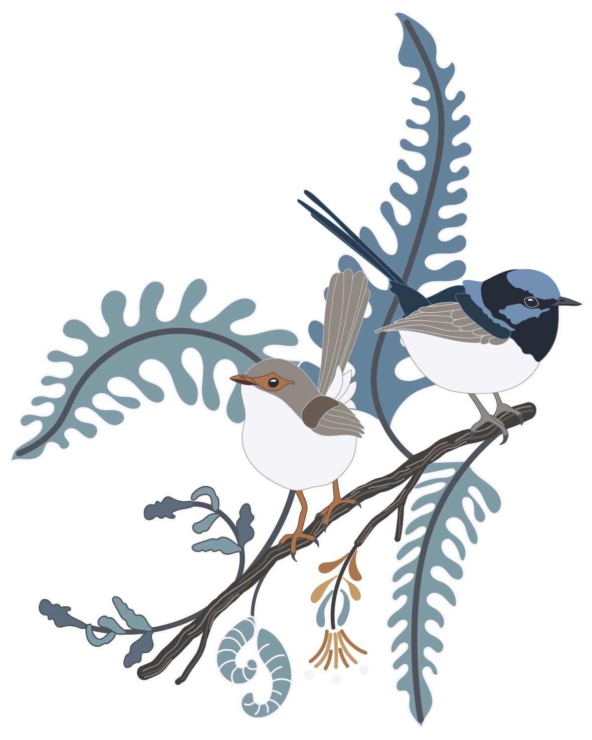 Superb Fairy Wrens on an Angled Branch Sticker