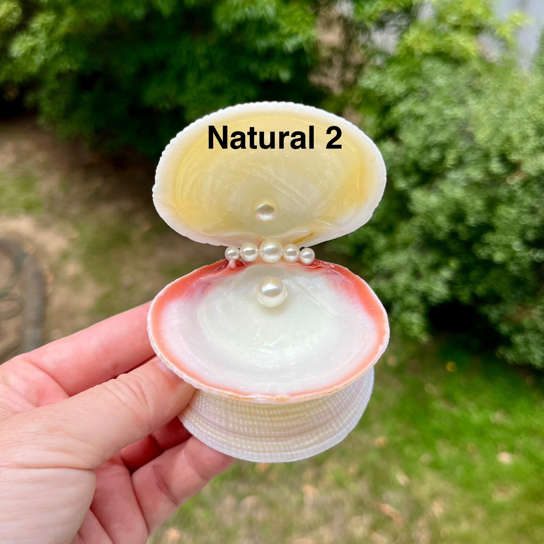 Sweet & Pearly Trinket Trays