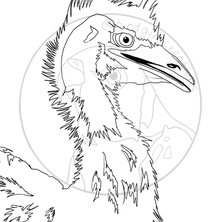 Emu colouring page PDF