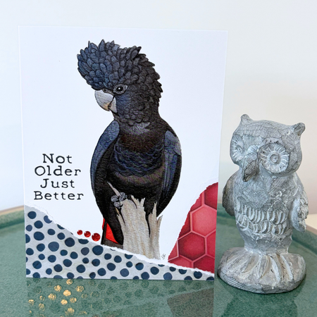 Red-tailed black cockatoo 