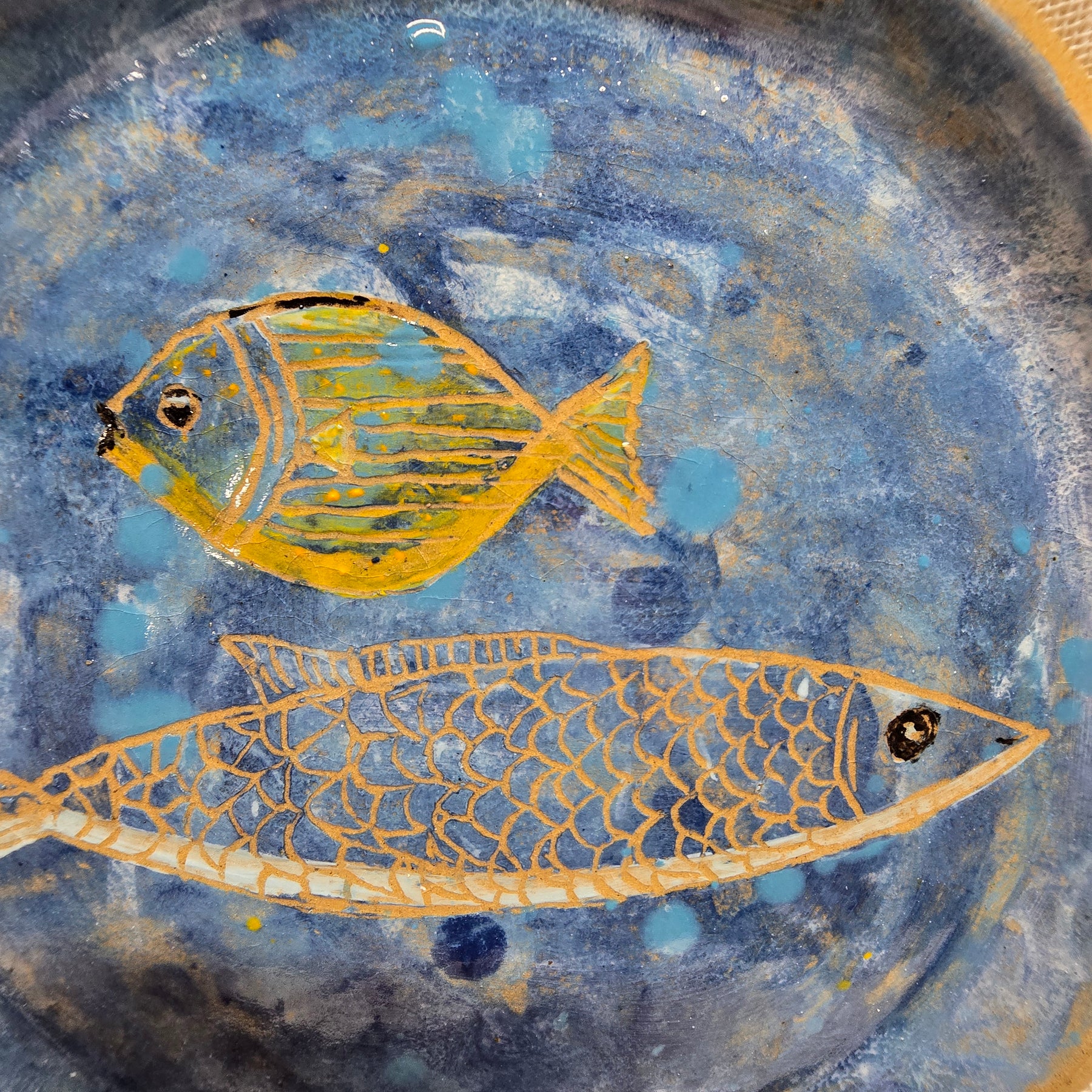 Fish plate