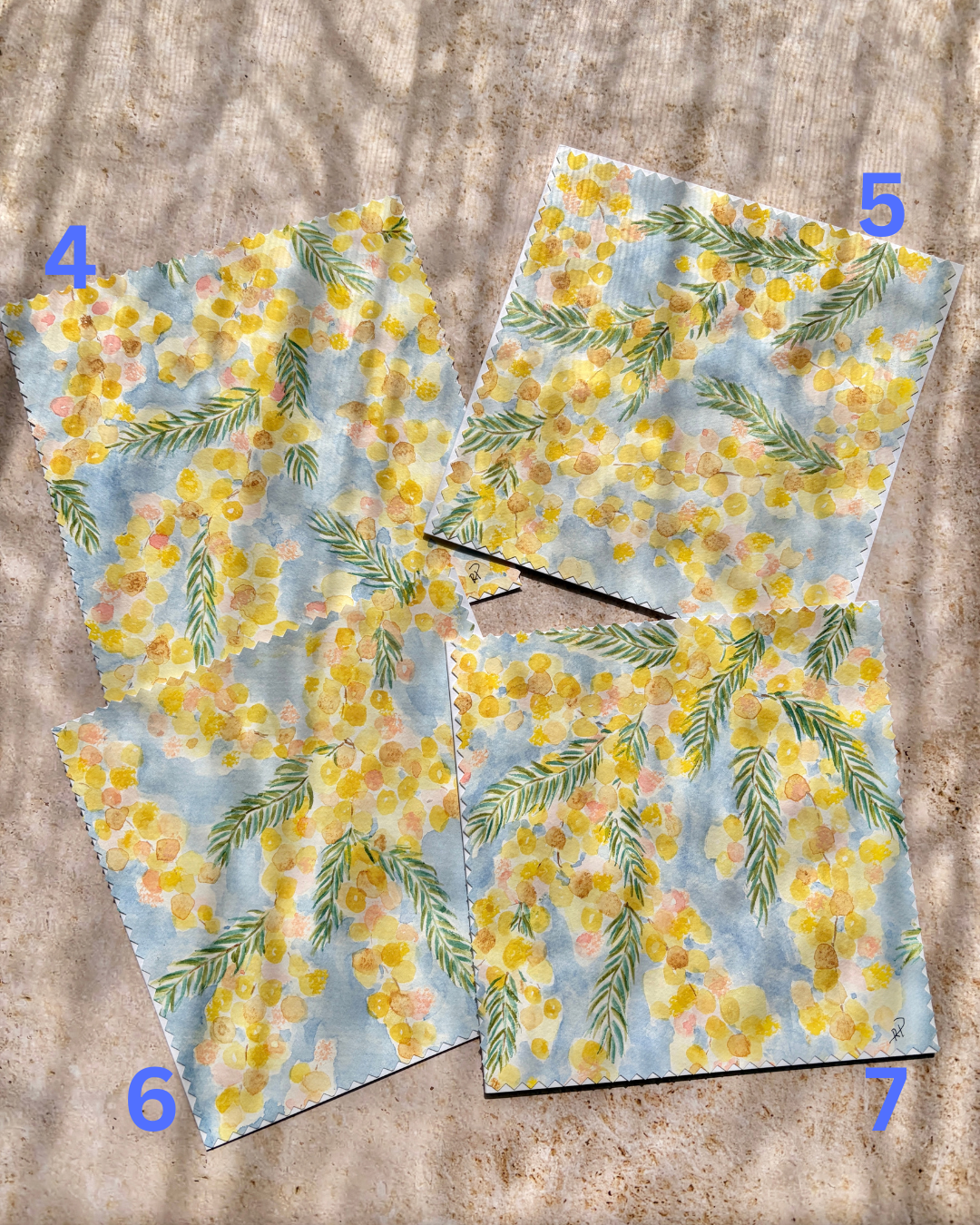 Original Hand-Painted Greeting Cards I Wattle Collection large
