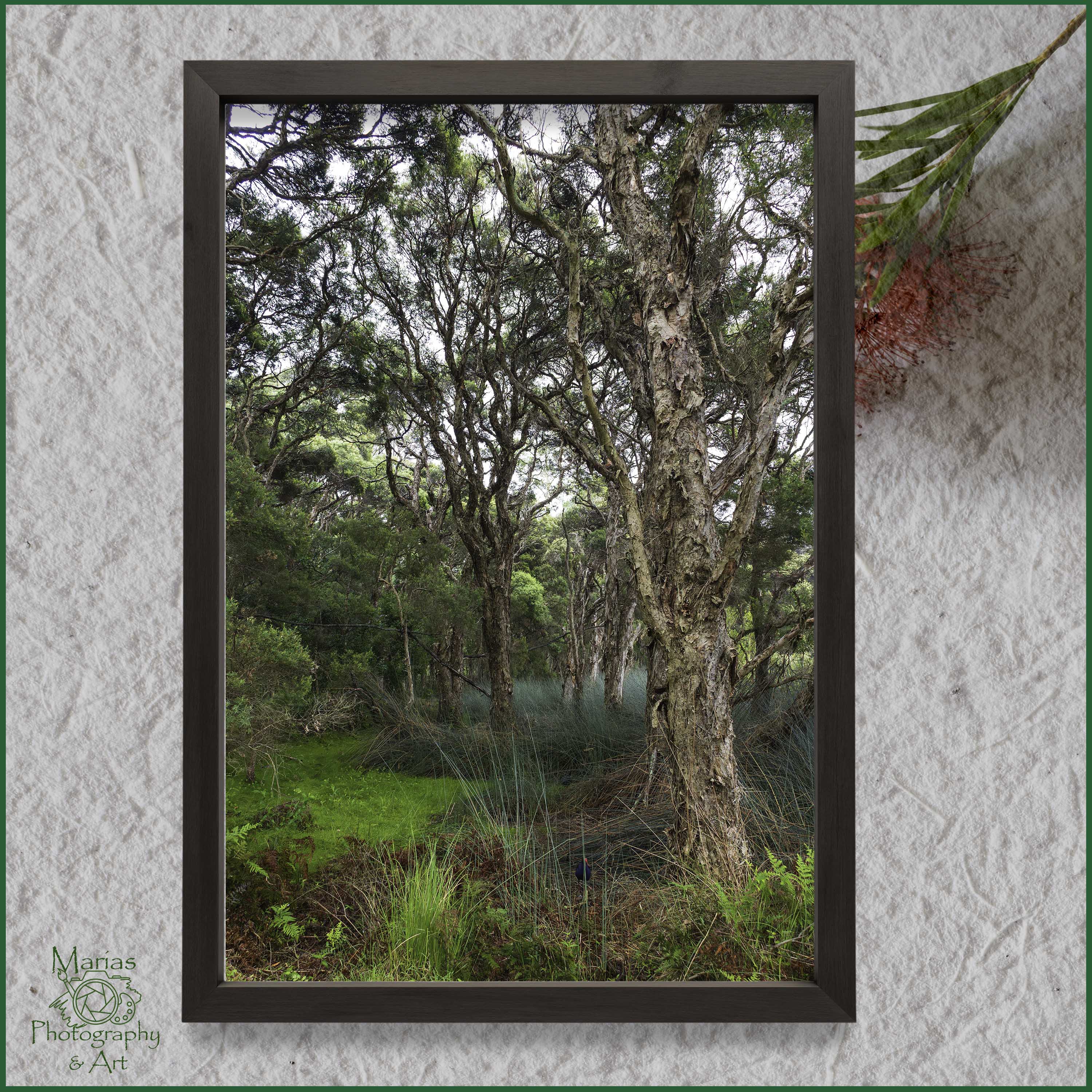 Photographic print | Wall Art | Paperbark