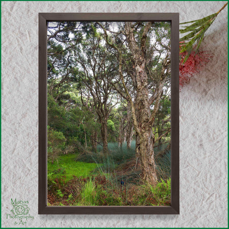 Photographic print | Wall Art | Paperbark