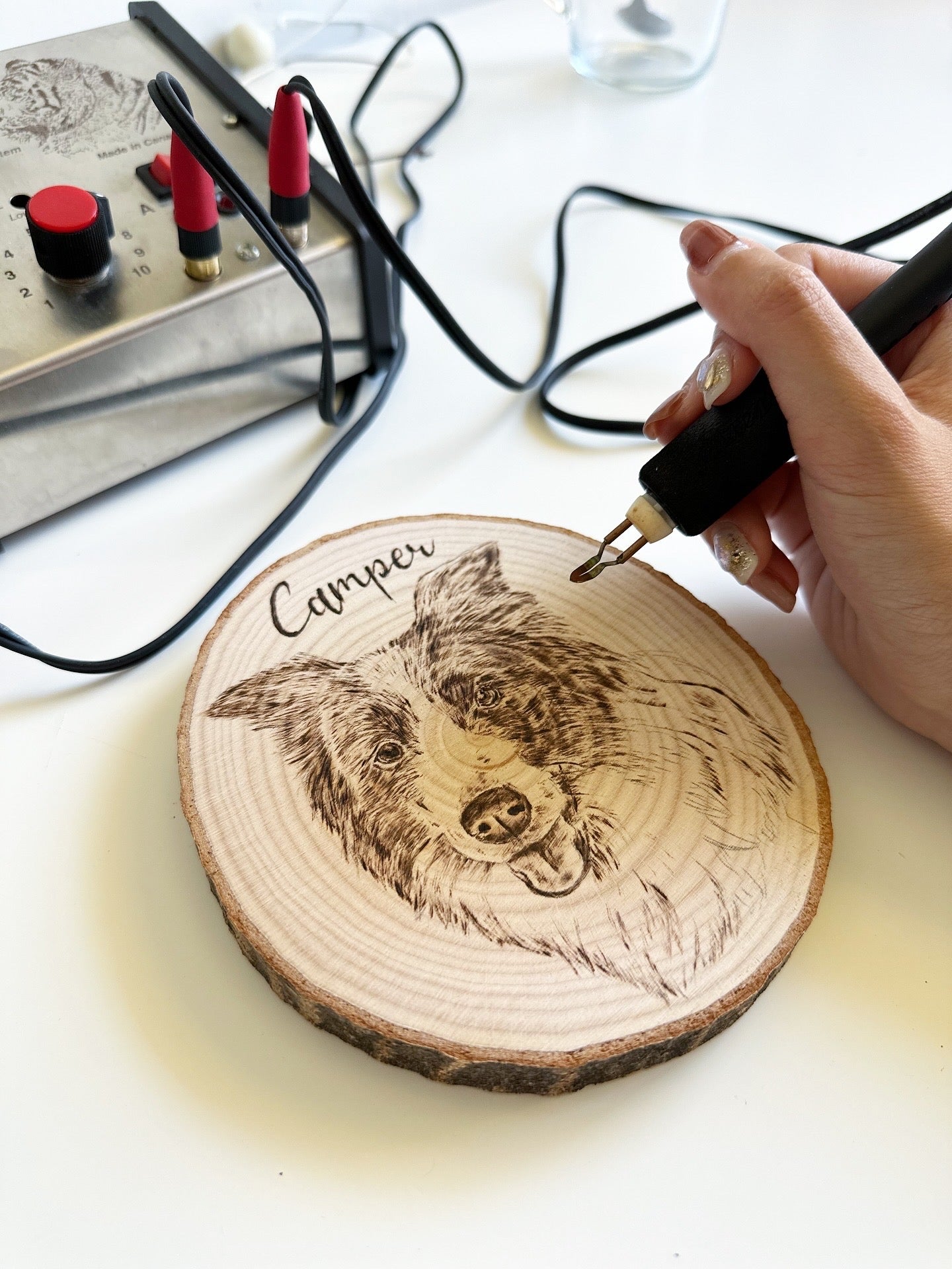 Natural Wood Circle Custom Pet Portrait – Hand-Burned Pyrography Art