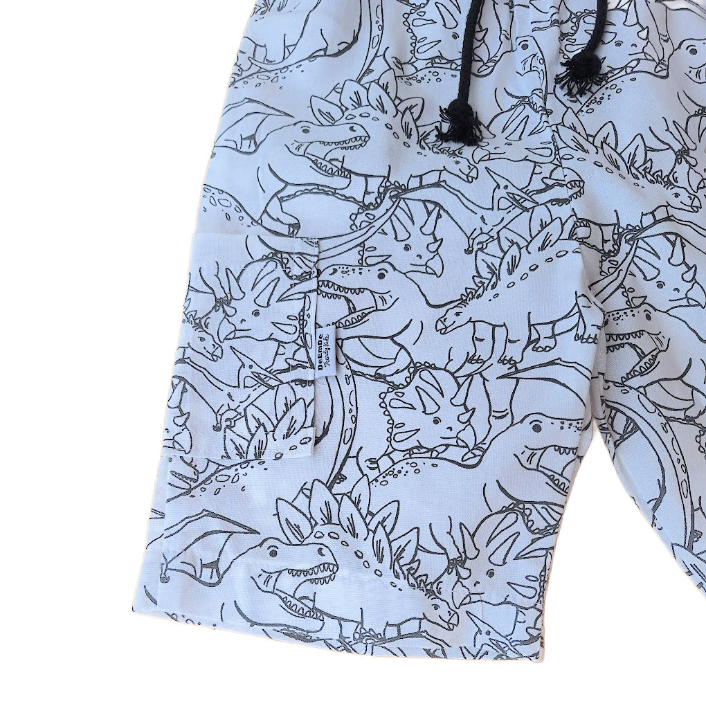 Boys Dinosaur Print Shorts with Pocket | Size 2, or 6 years