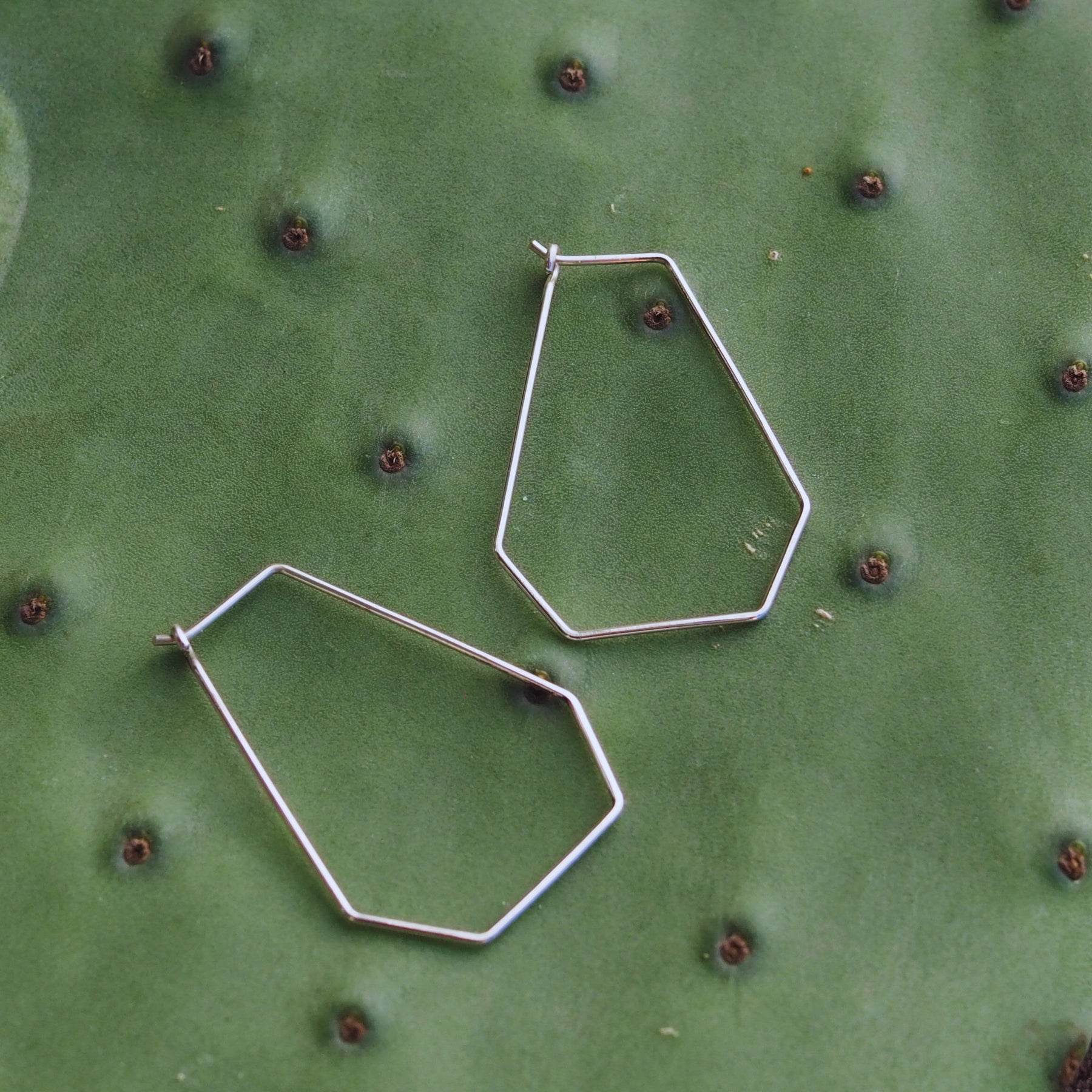 Long Hexagonal Hoops | Sterling Silver