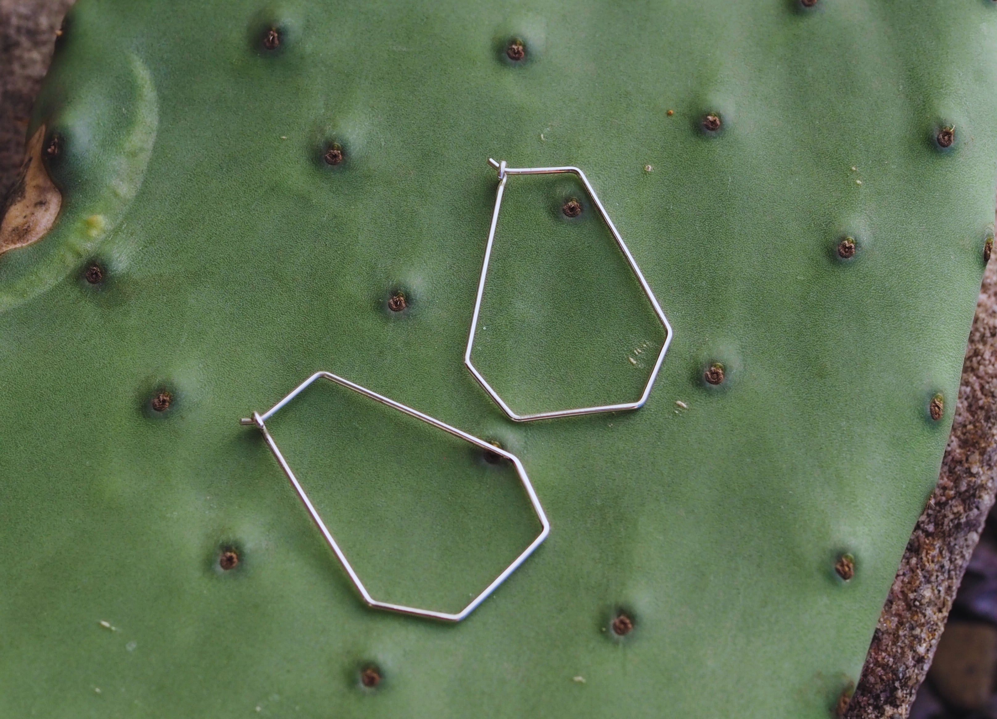 Long Hexagonal Hoops | Sterling Silver