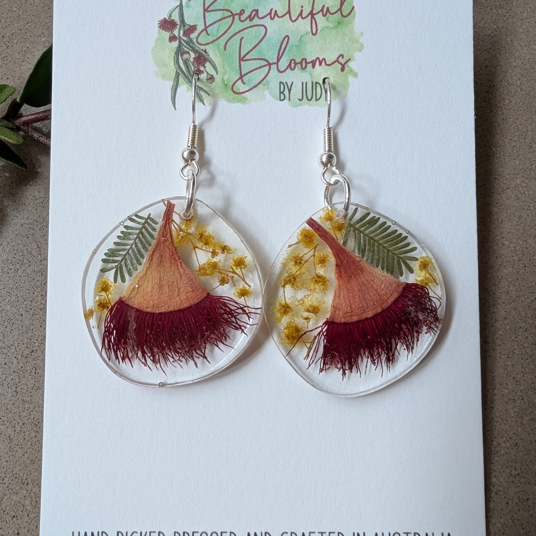 Real Australian Native Flower Resin Dangle Earrings