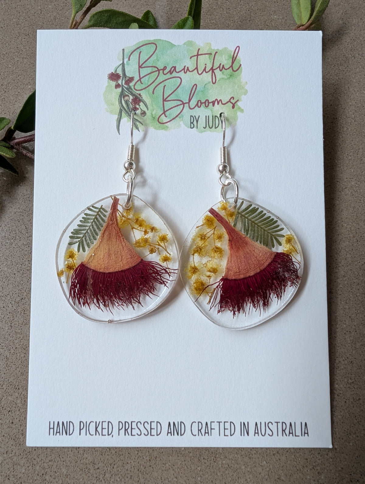 Real Australian Native Flower Resin Dangle Earrings