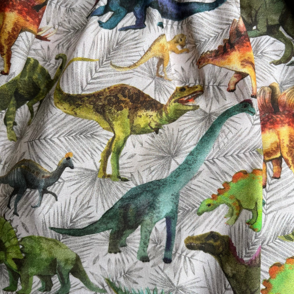 Toddler shorts | dinosaurs 🦕