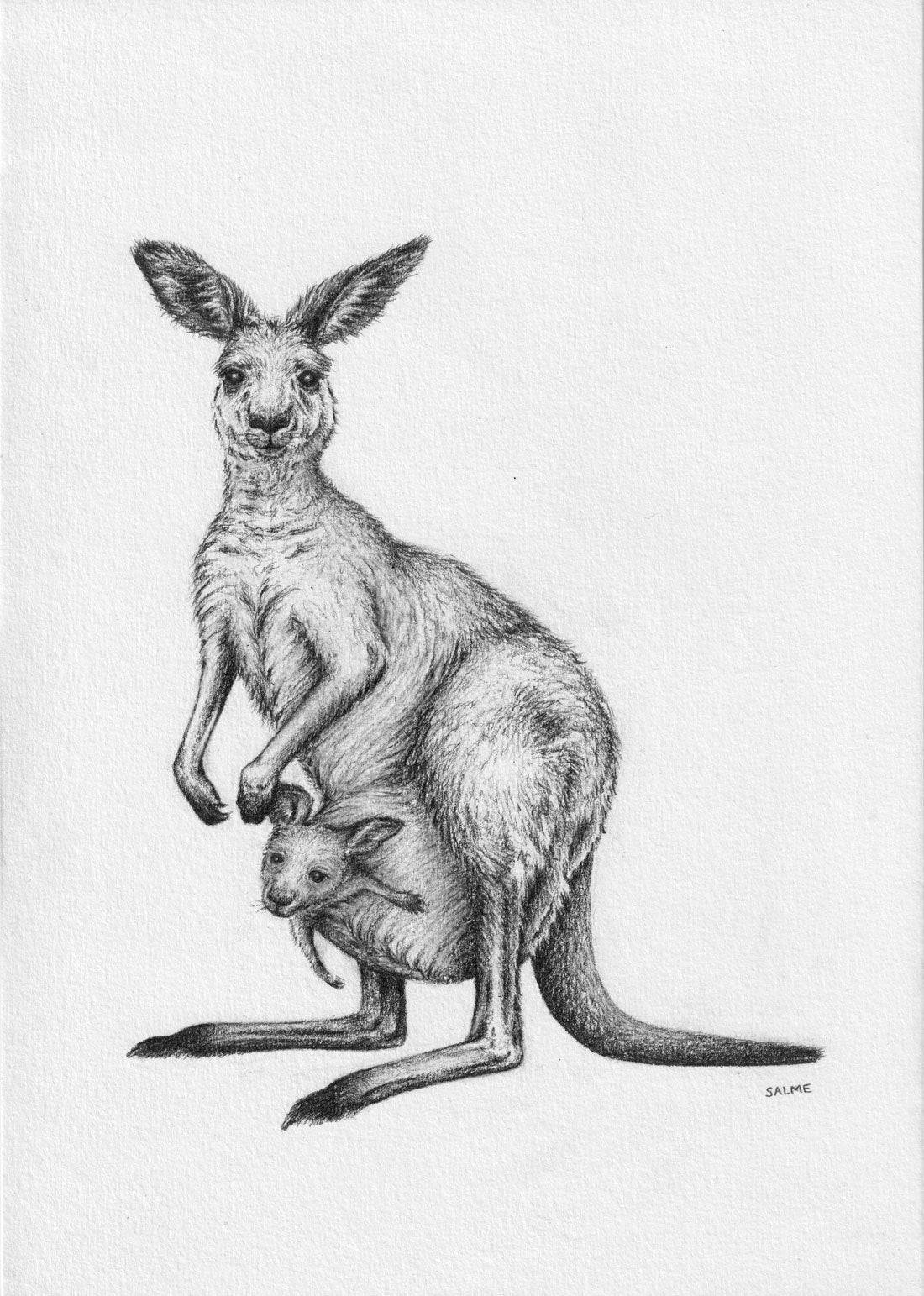 Kangaroo Mother and Joey | Hand Drawn Original Artwork