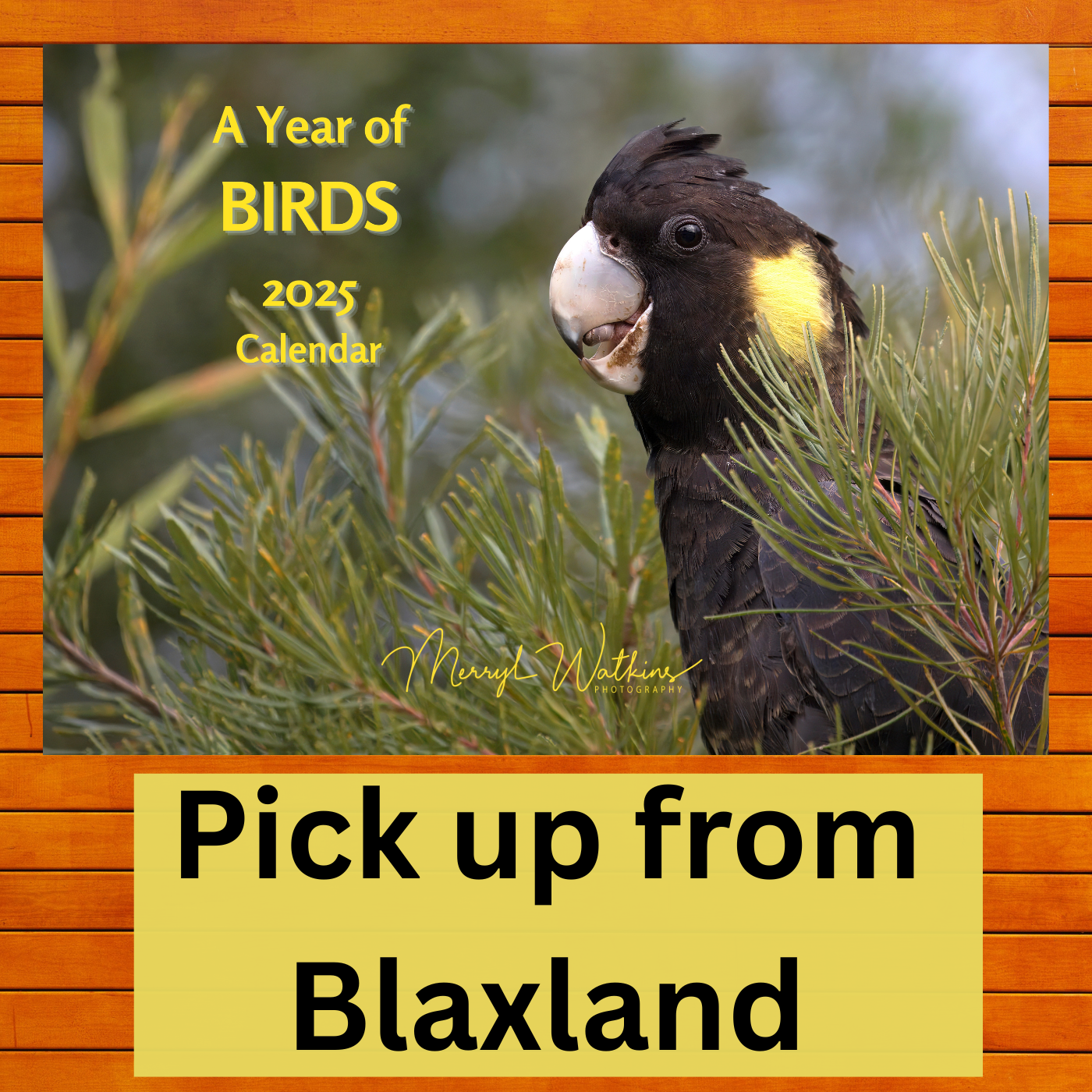 2027 Calendar - A Year of Birds - A4 Photographic Calendar