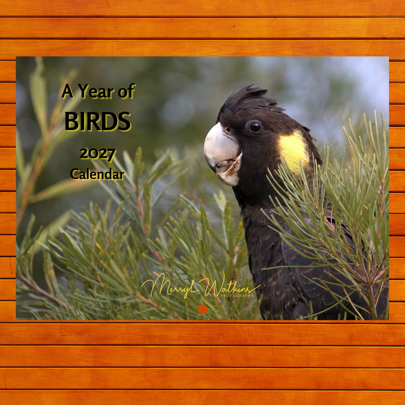 2027 Calendar - A Year of Birds - A4 Photographic Calendar