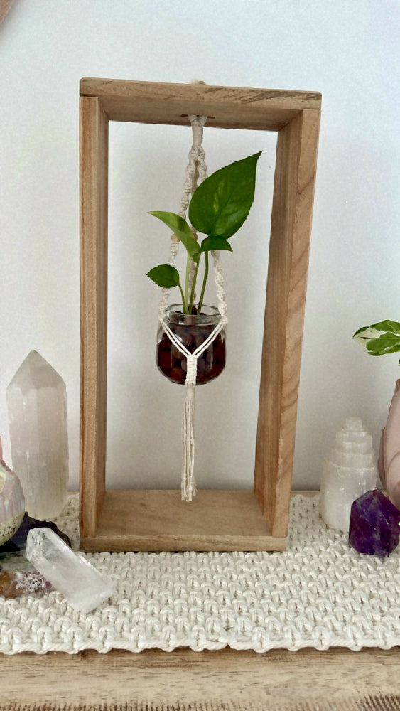 Framed Macrame Propagation Stations