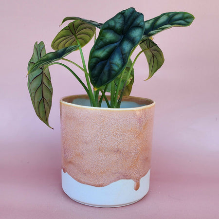 Handmade Ceramic Cover Pot - Peach Glaze
