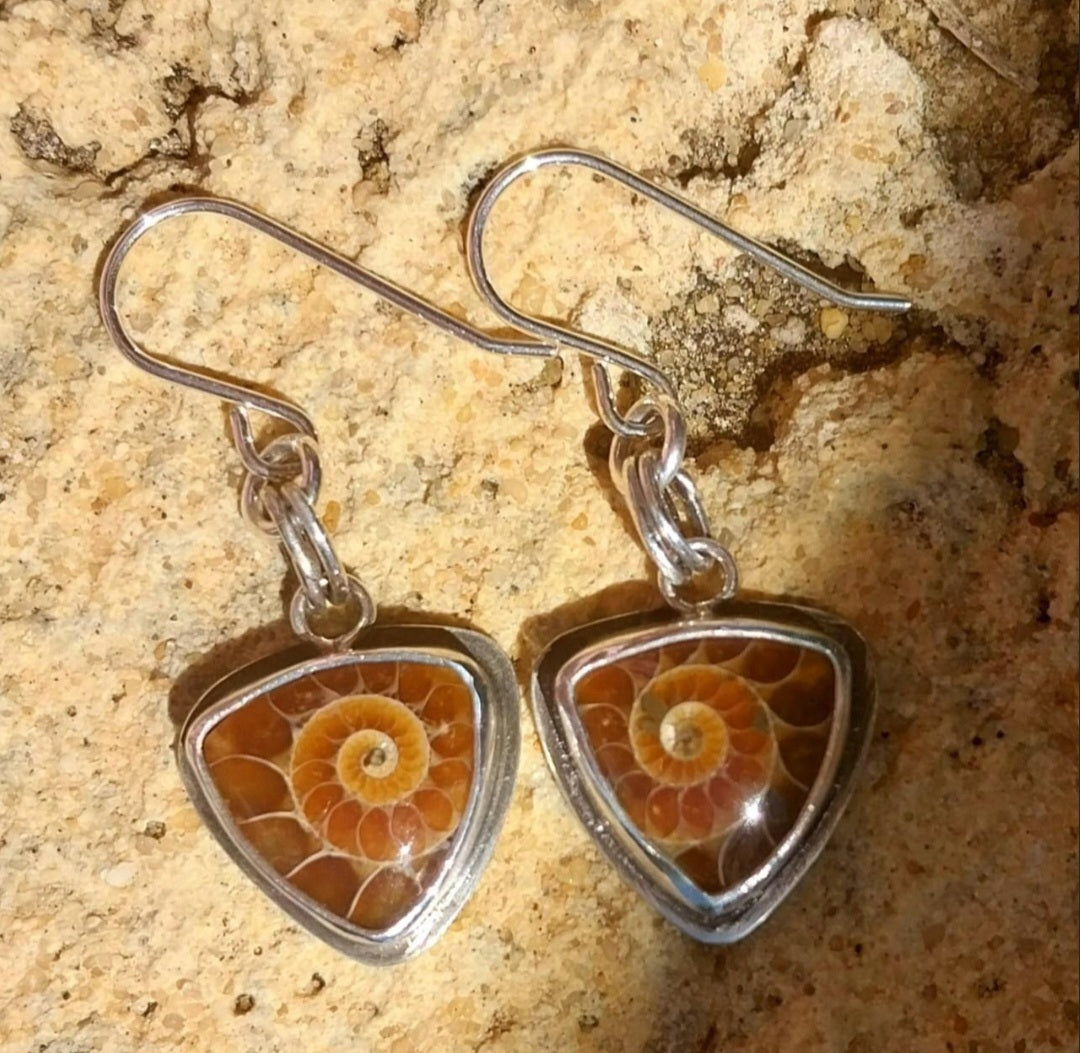Ammonite & sterling silver earrings