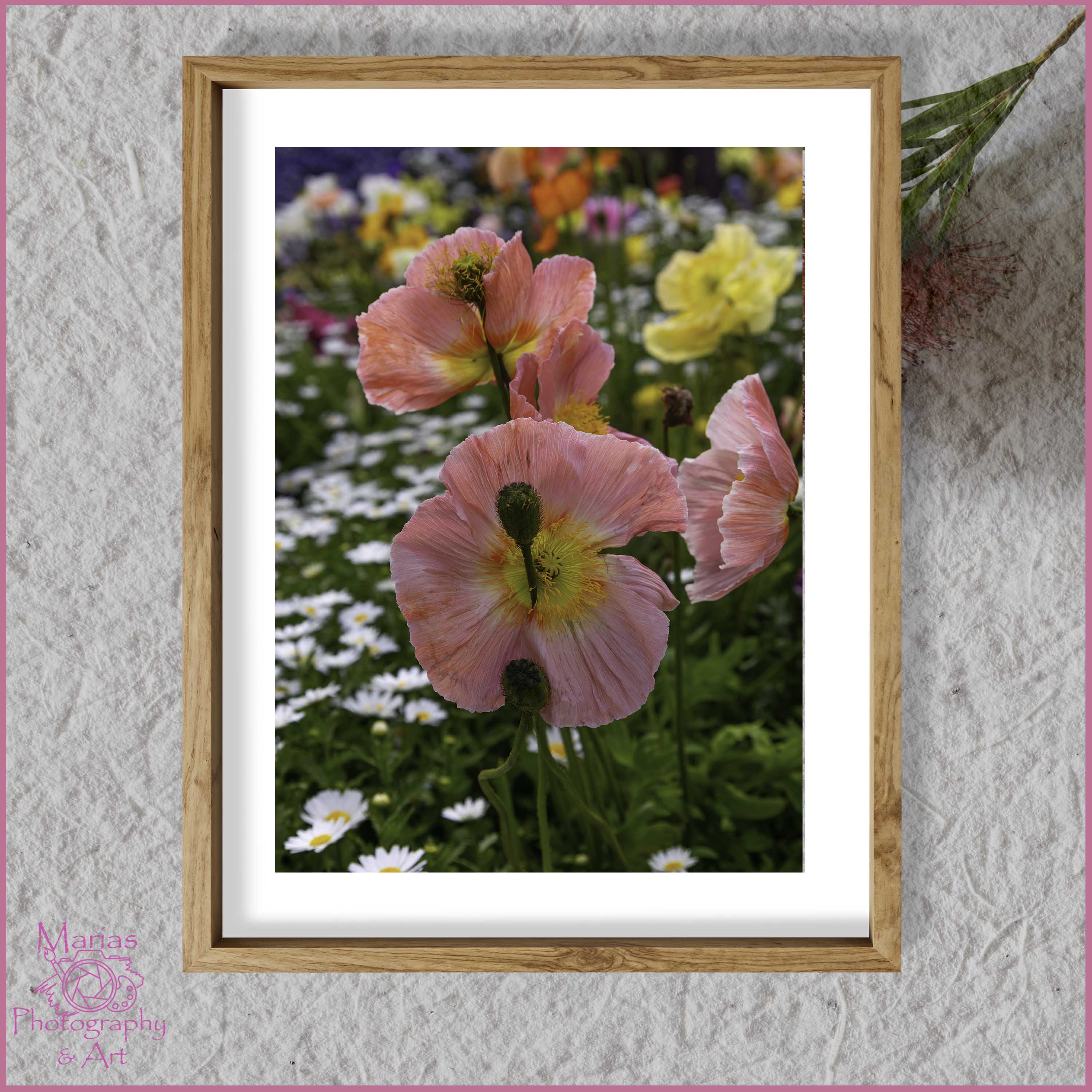 Photographic Print | Wall Art | Flowers
