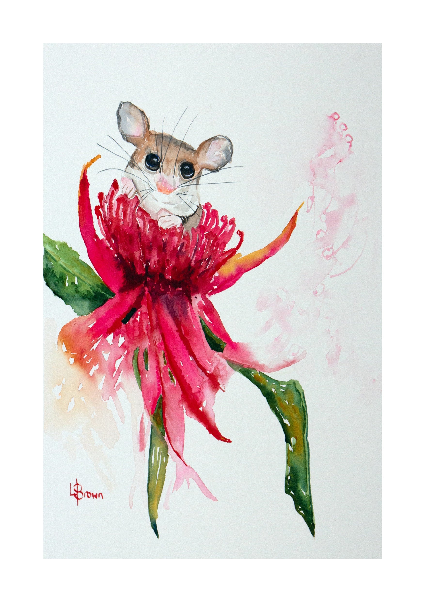 Pygmy Possum A3 Fine Art Print