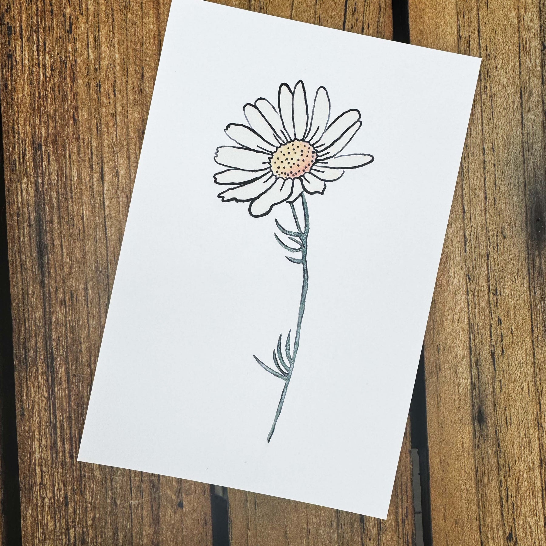 Modern Mini Print: Daisy Study 2, Black Frame Included (13 x 18cm)