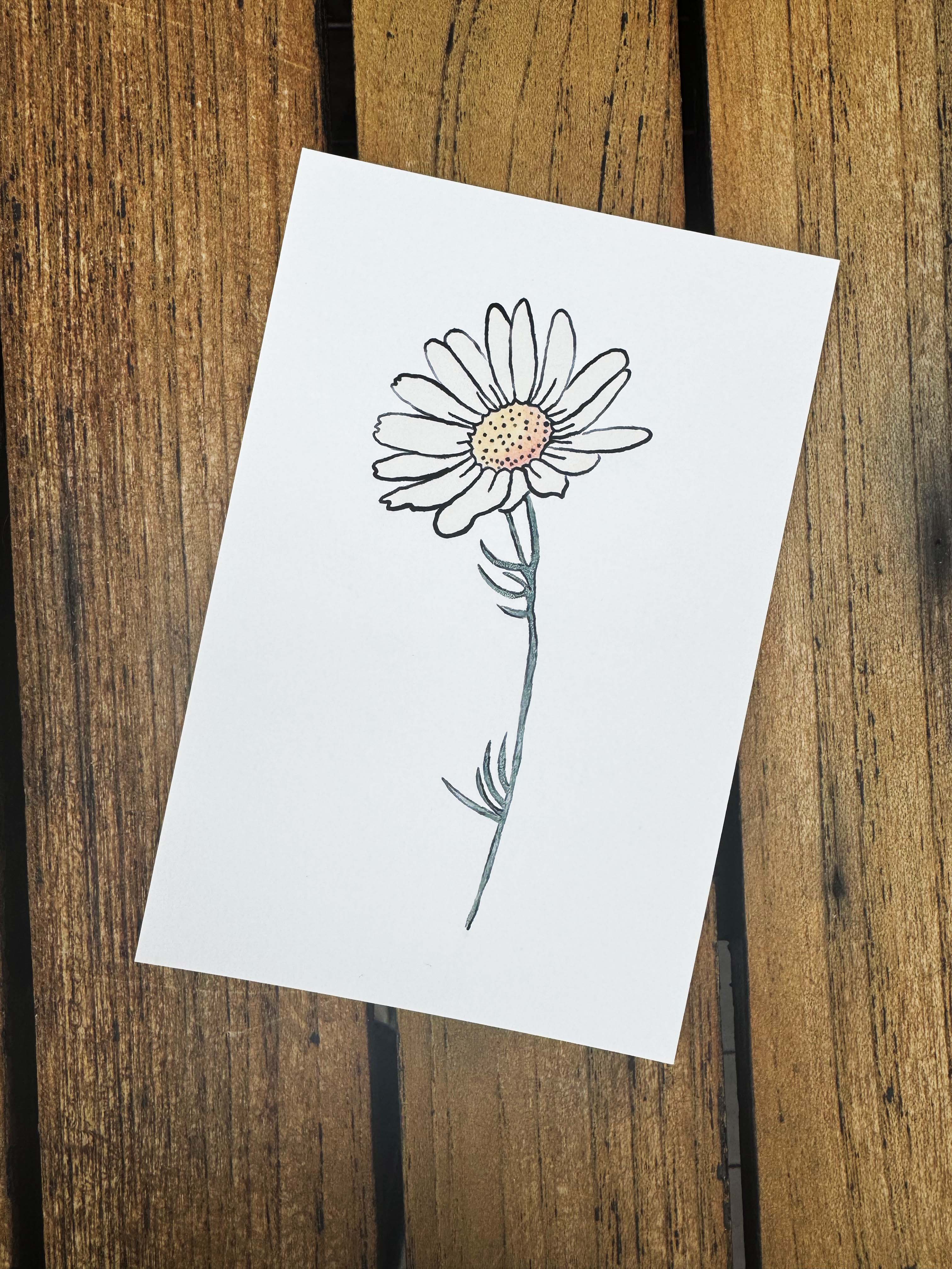 Modern Mini Print: Daisy Study 2, Black Frame Included (13 x 18cm)