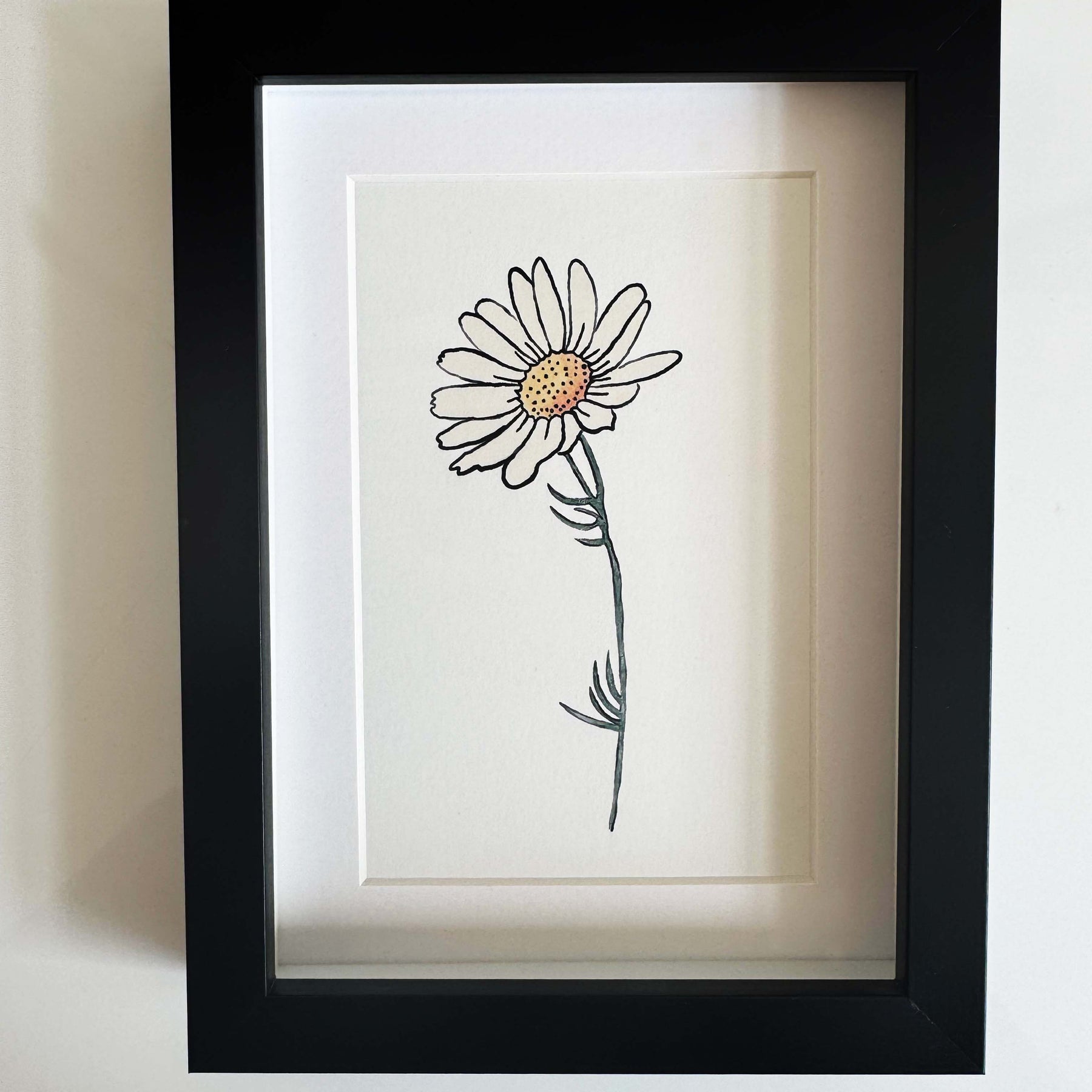 Modern Mini Print: Daisy Study 2, Black Frame Included (13 x 18cm)