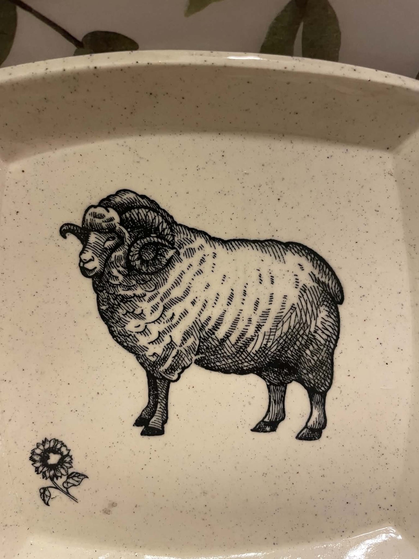 Ram / sheep square plate