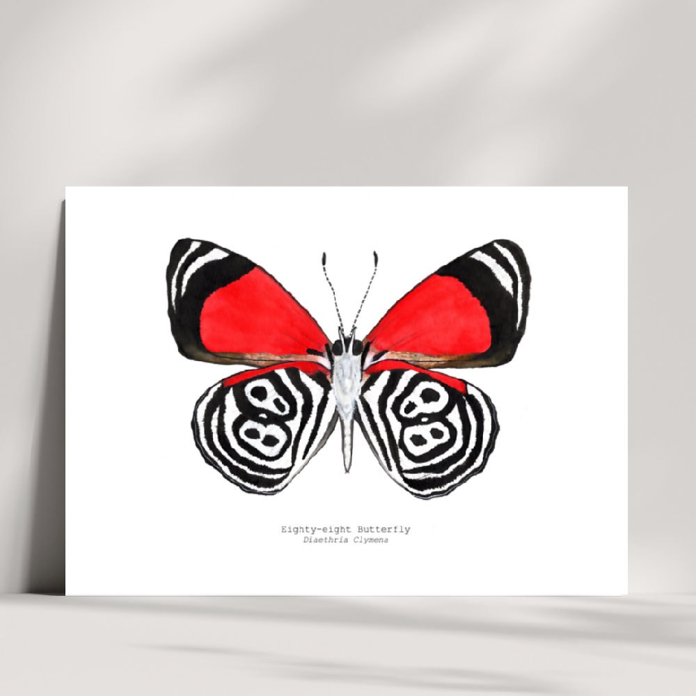 art print - the fauna series - eighty-eight butterfly