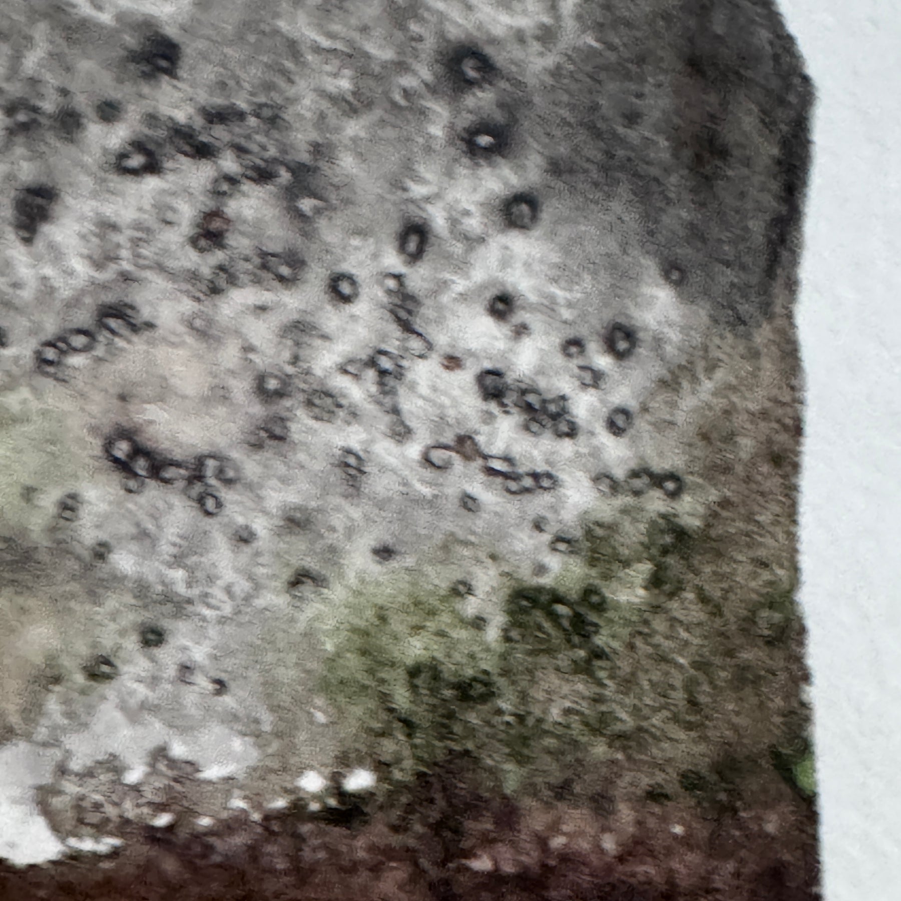 Quiet Weather ACEO Original Watercolour Artwork
