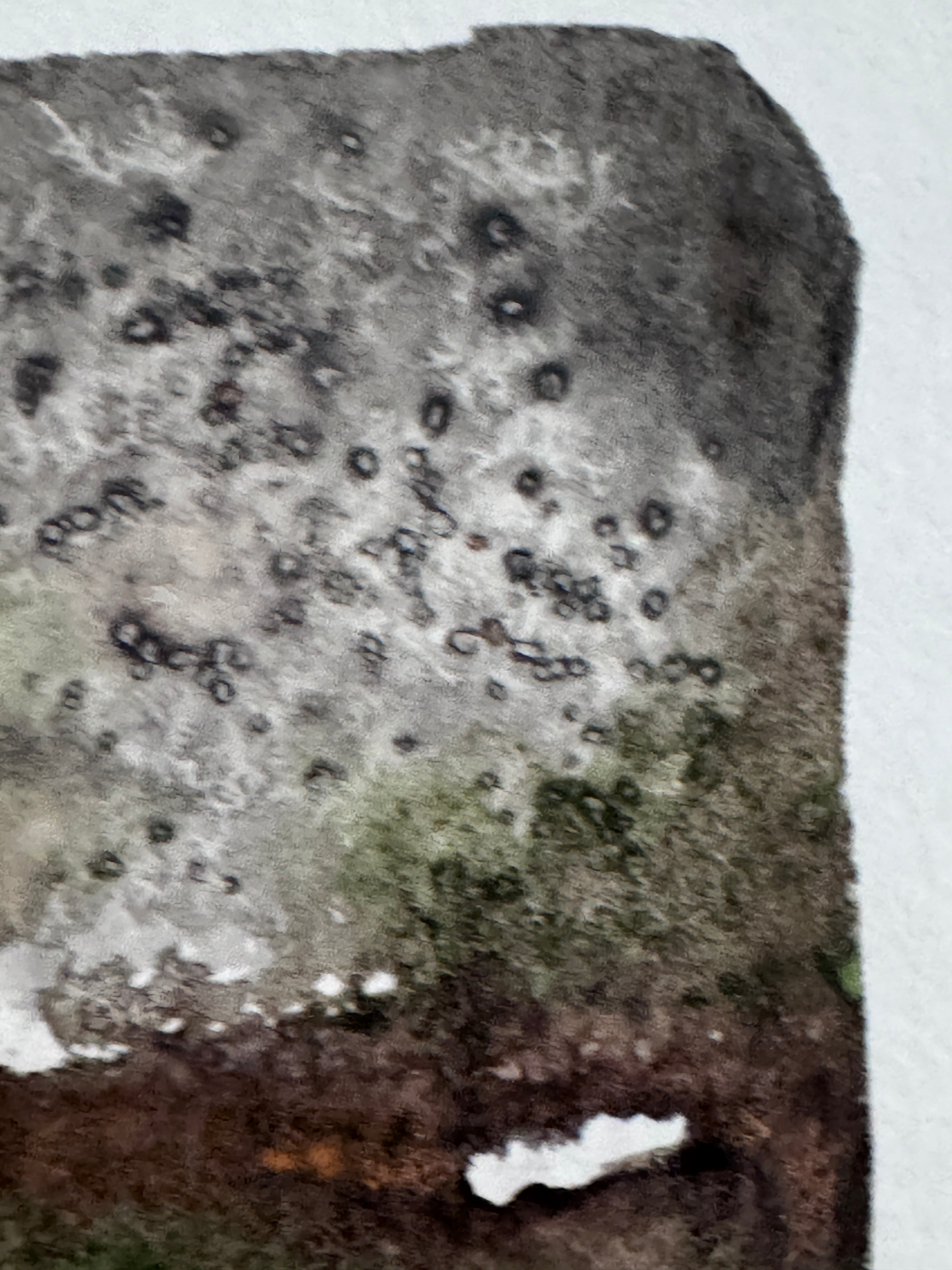 Quiet Weather ACEO Original Watercolour Artwork