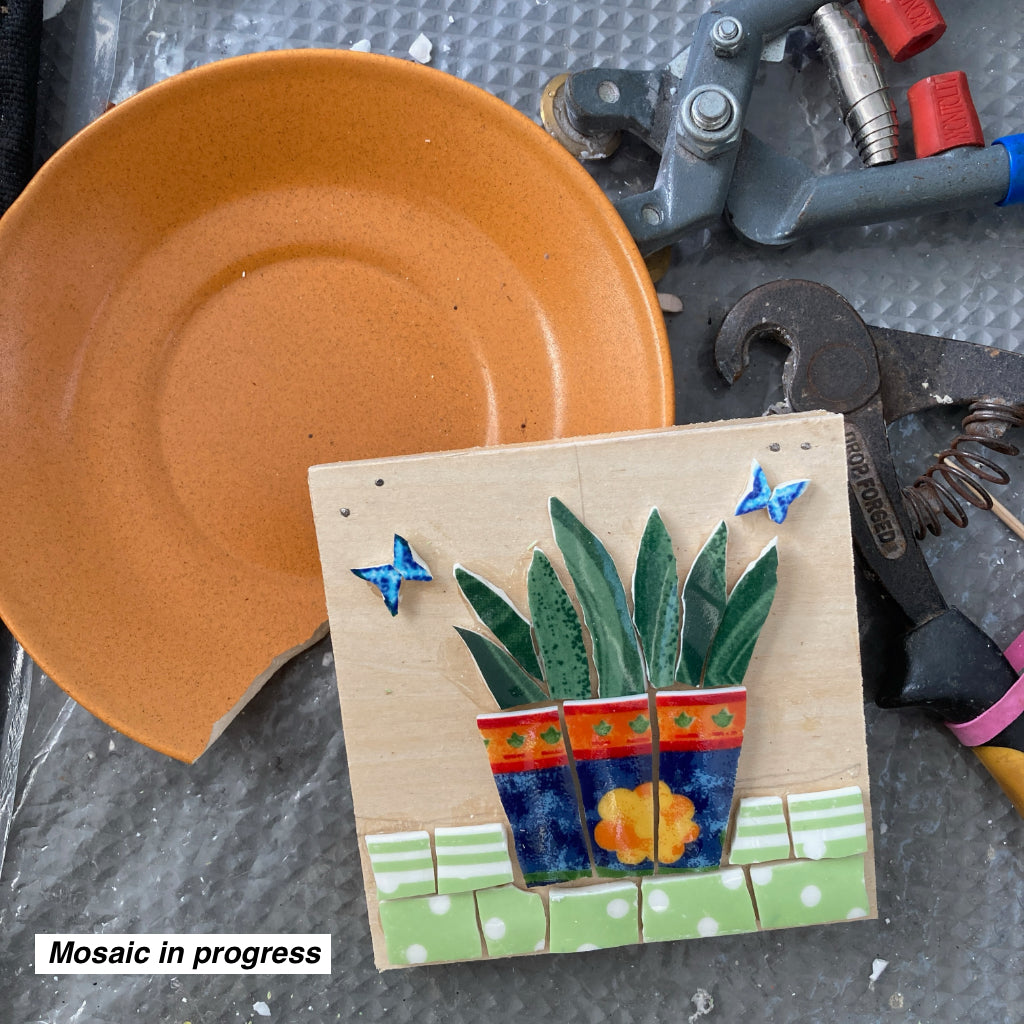 Mini Mosaic Artwork - Upcycled Crockery - Cacti - Snake Plants