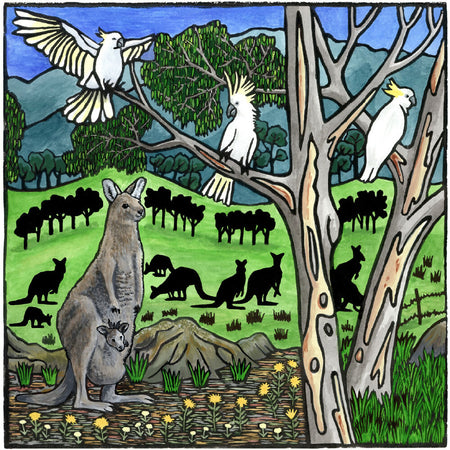 Kangaroos - Limited Edition Giclee Print