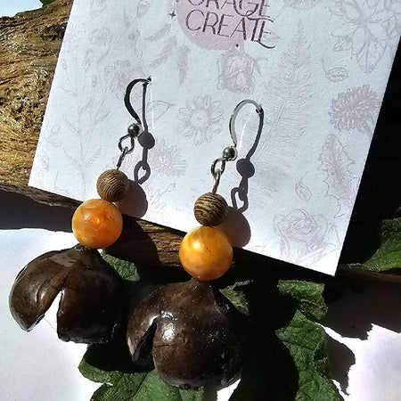 Natural Australian seed pod earrings