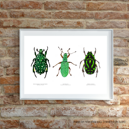 Watercolour Art Print - The Fauna Series - 'Green Bug Trio'