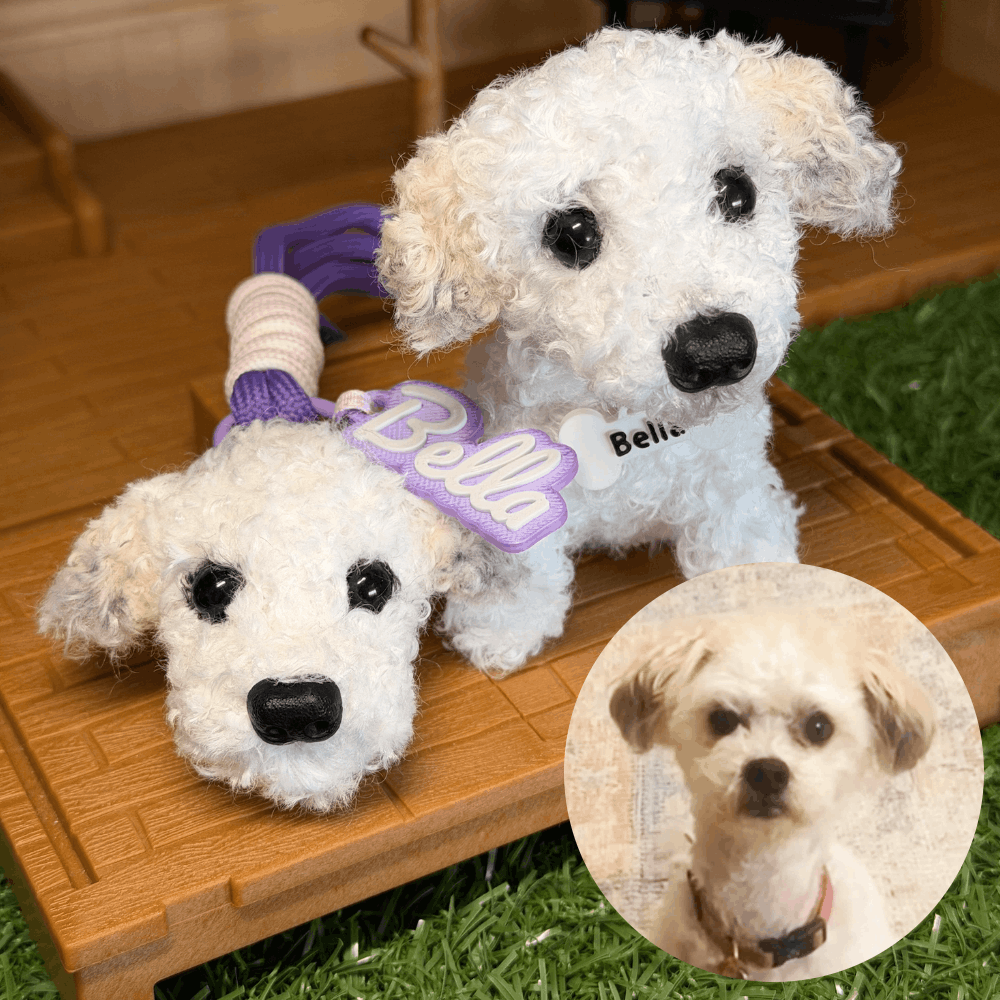 Custom Dog Replica from Photo, Poseable Art Doll, Pet Memorial Keepsake - Handmade Soft Sculpture, Personalised Plushie Ornament