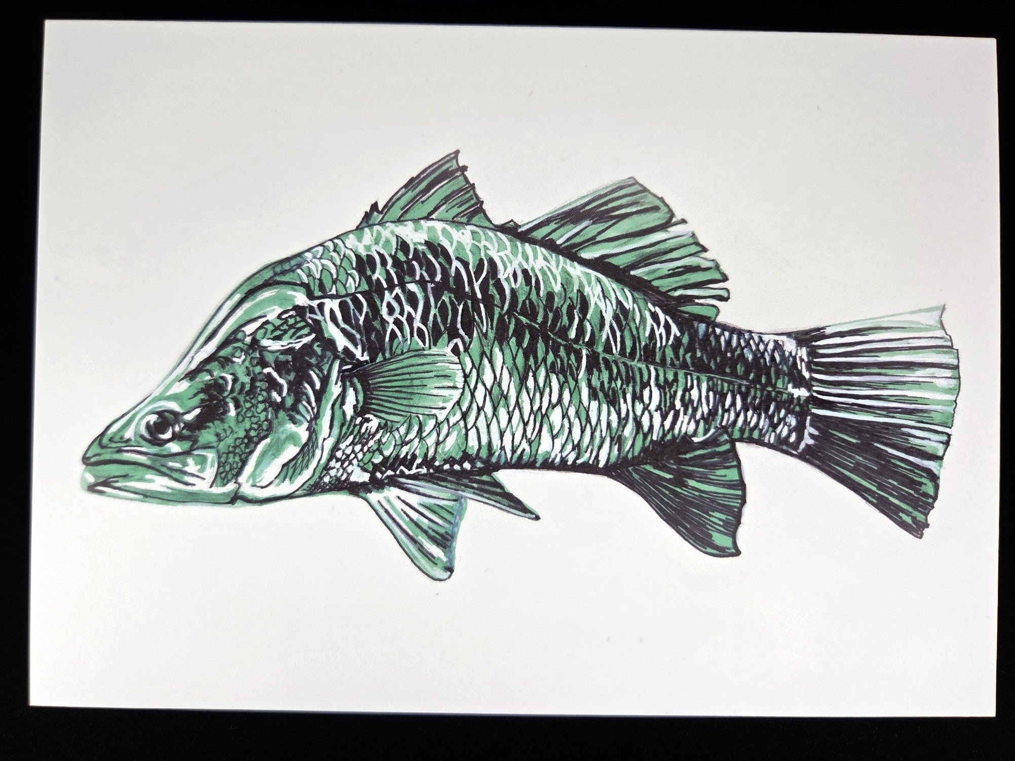 Barramundi Greeting Card (blank inside)- 5cm x 7cm (127mm x 178mm)